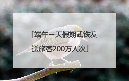端午三天假期武铁发送旅客200万人次