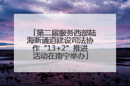 第二届服务西部陆海新通道建设司法协作“13+2”推进活动在南宁举办
