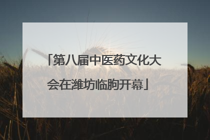 第八届中医药文化大会在潍坊临朐开幕