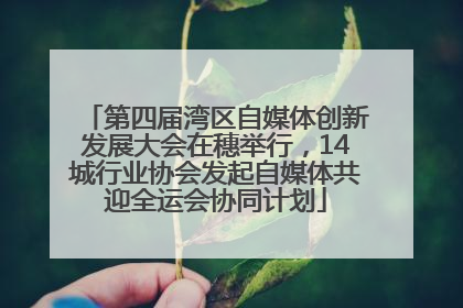 第四届湾区自媒体创新发展大会在穗举行，14城行业协会发起自媒体共迎全运会协同计划