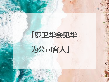 罗卫华会见华为公司客人