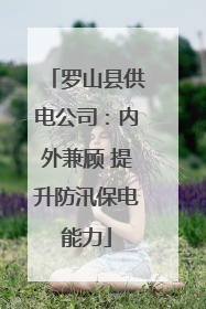 罗山县供电公司：内外兼顾 提升防汛保电能力