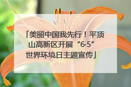 美丽中国我先行！平顶山高新区开展“6·5”世界环境日主题宣传