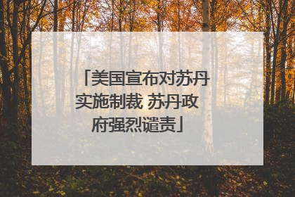 美国宣布对苏丹实施制裁 苏丹政府强烈谴责