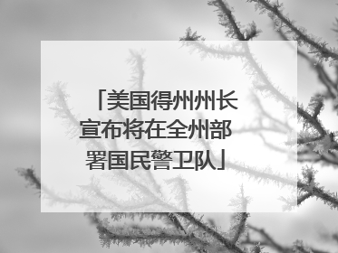 美国得州州长宣布将在全州部署国民警卫队