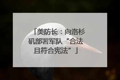 美防长：向洛杉矶部署军队“合法且符合宪法”