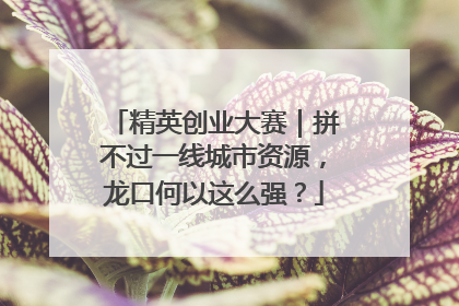 精英创业大赛｜拼不过一线城市资源，龙口何以这么强？