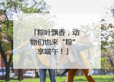 粽叶飘香，动物们也来“粽”享端午！