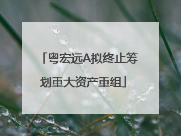 粤宏远A拟终止筹划重大资产重组