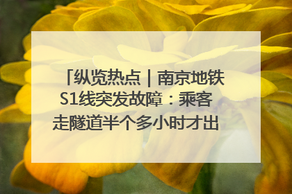 纵览热点｜南京地铁S1线突发故障：乘客走隧道半个多小时才出站，地铁方称造成误机会解决处理