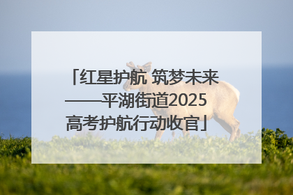 红星护航 筑梦未来——平湖街道2025高考护航行动收官