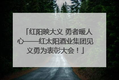 红阳映大义 勇者暖人心——红太阳酒业集团见义勇为表彰大会！