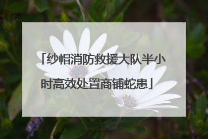 纱帽消防救援大队半小时高效处置商铺蛇患