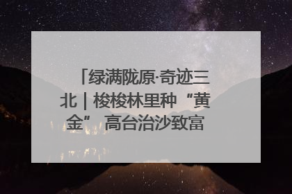 绿满陇原·奇迹三北｜梭梭林里种“黄金” 高台治沙致富很“从容”