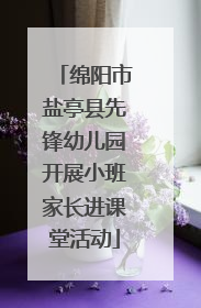 绵阳市盐亭县先锋幼儿园开展小班家长进课堂活动