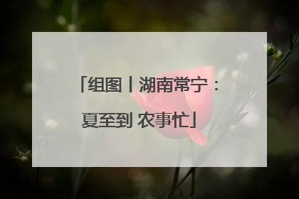 组图丨湖南常宁：夏至到 农事忙