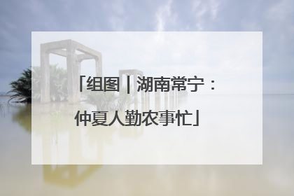组图｜湖南常宁：仲夏人勤农事忙