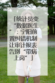 统计员变“数据医生”：宁阳前置纠错机制让审计报表告别“带病上岗”