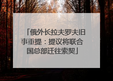俄外长拉夫罗夫旧事重提：提议将联合国总部迁往索契