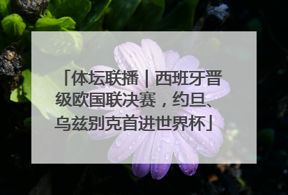 体坛联播｜西班牙晋级欧国联决赛，约旦、乌兹别克首进世界杯
