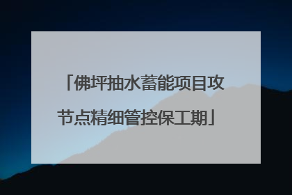 佛坪抽水蓄能项目攻节点精细管控保工期