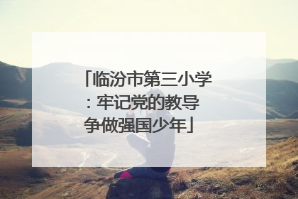 临汾市第三小学：牢记党的教导 争做强国少年
