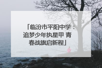 临汾市平阳中学：追梦少年执星甲 青春战旗启新程