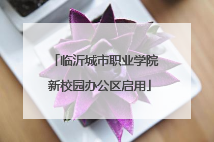 临沂城市职业学院新校园办公区启用