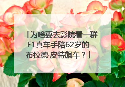 为啥要去影院看一群F1真车手陪62岁的布拉德·皮特飙车？