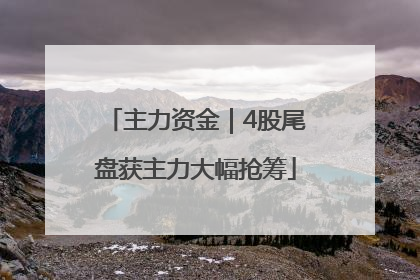 主力资金｜4股尾盘获主力大幅抢筹