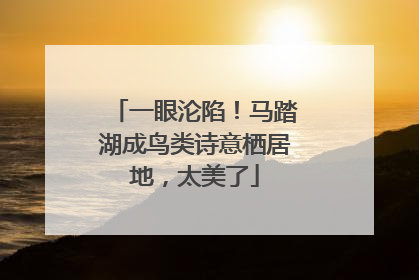 一眼沦陷！马踏湖成鸟类诗意栖居地，太美了