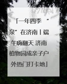 一年四季 “泉”在济南丨端午嗨翻天 济南植物园成亲子户外热门打卡地