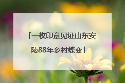 一枚印章见证山东安陵88年乡村蝶变