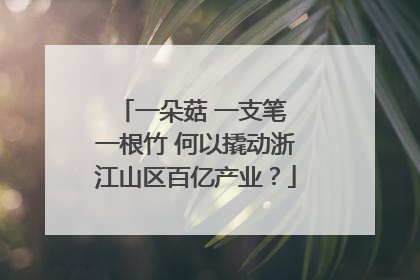 一朵菇 一支笔 一根竹 何以撬动浙江山区百亿产业？