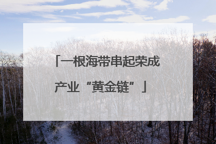 一根海带串起荣成产业“黄金链”