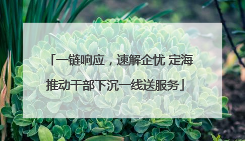 一链响应，速解企忧 定海推动干部下沉一线送服务