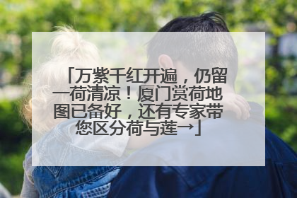 万紫千红开遍，仍留一荷清凉！厦门赏荷地图已备好，还有专家带您区分荷与莲→