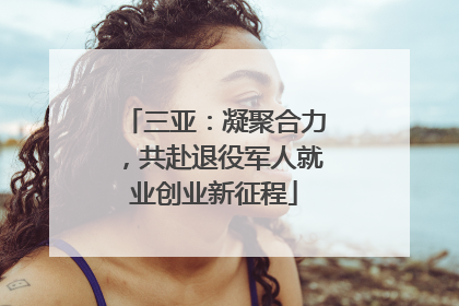 三亚：凝聚合力，共赴退役军人就业创业新征程