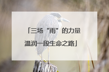 三场“雨”的力量温润一段生命之路