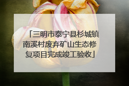 三明市泰宁县杉城镇南溪村废弃矿山生态修复项目完成竣工验收