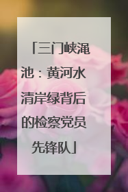 三门峡渑池：黄河水清岸绿背后的检察党员先锋队