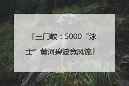 三门峡：5000“泳士”黄河碧波竞风流