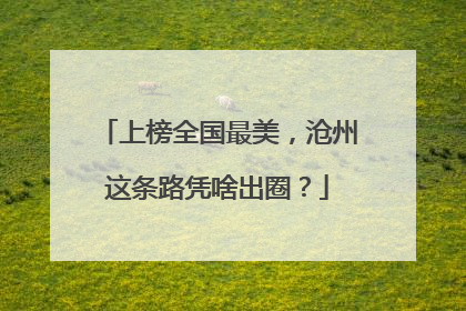 上榜全国最美，沧州这条路凭啥出圈？