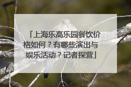 上海乐高乐园餐饮价格如何？有哪些演出与娱乐活动？记者探营