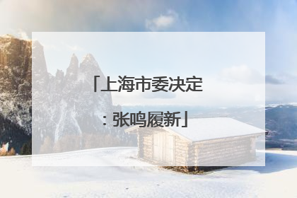 上海市委决定：张鸣履新