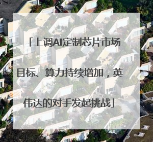 上调AI定制芯片市场目标、算力持续增加，英伟达的对手发起挑战