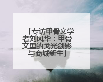 专访甲骨文学者刘风华：甲骨文里的戈光剑影与商城新生