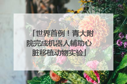 世界首例！青大附院完成机器人辅助心脏移植动物实验