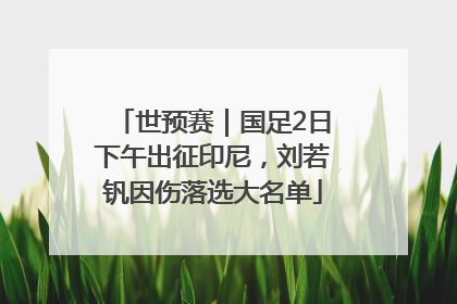 世预赛｜国足2日下午出征印尼，刘若钒因伤落选大名单