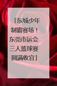 东城少年制霸赛场！东莞市运会三人篮球赛圆满收官